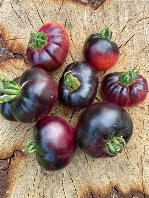 Amethyst Jewel Tomato Seeds Rare Heirloom Tomatoes Etsy Uk