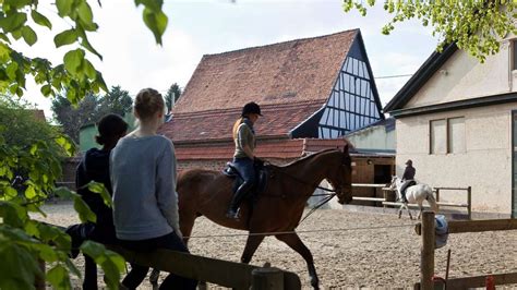 Spielerisch Reiten Lernen