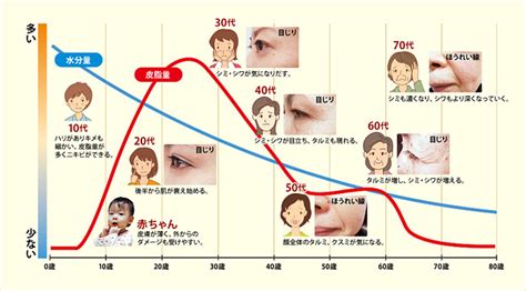 肌の仕組み｜肌の悩み｜ネイチャー生活倶楽部 ホームページ【公式】