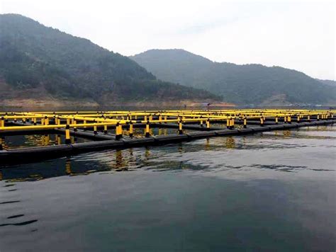 Square Aquaculture HDPE Floating Fish Cage Fish Farming Cage For