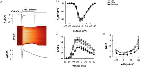 Figure 2 From Abnormal Expression Of MiR 331 Leads To Impaired Heart