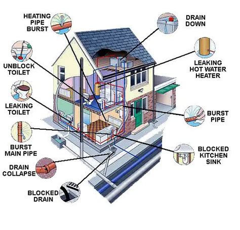 How to Prevent Black Mold in House? 4 Prevention Tips