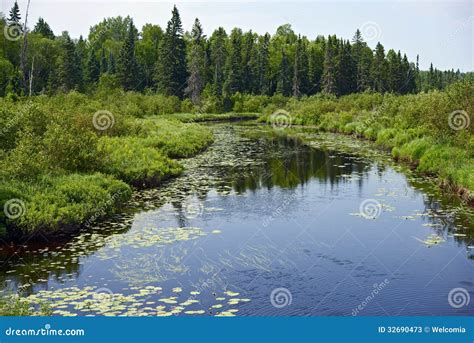 Minnesota Wilderness stock image. Image of scenic, destination - 32690473