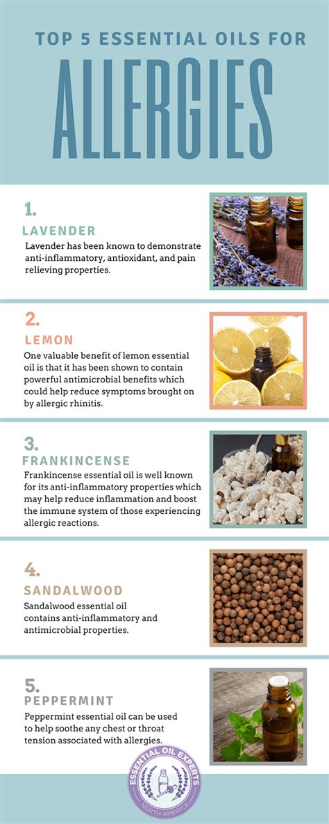 Top 5 Essential Oils For Allergies Essential Oil Experts