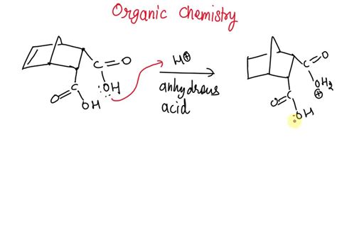 SOLVED Endo Norbornene Cis 5 6 Dicarboxylic Acid Can Be Converted Back