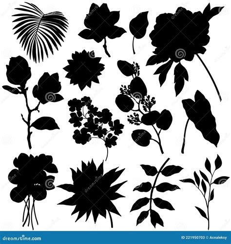 Set Of Flowers And Leaves Silhouettes Isolated On White Background Stock Vector Illustration