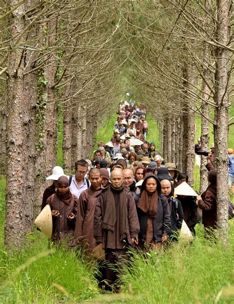 The Life Story Of Thich Nhat Hanh Plum Village