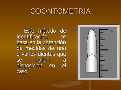 Tema M Todos De Identificaci N Odontografica Ppt