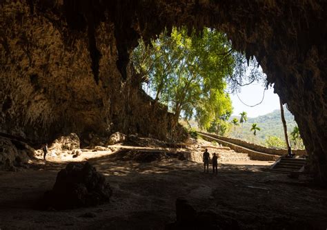 Scientists show how the "hobbit" from Flores Island in Indonesia became so small