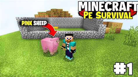 I Got Most Rare Pink Sheep Best Starting Ever Minecraft Pe Survival Series Episode 1 Youtube