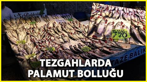 Karadeniz De Palamut Bollu U Youtube