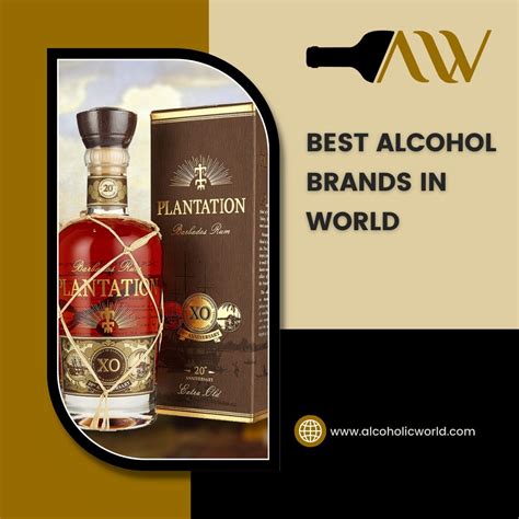 Best Alcohol Brands in World for Your Next Martini - Alcoholic World ...