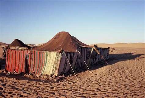 Berber Tent in the Sahara Desert