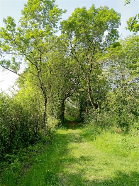 Un Projet De Biodiversit Sur La Commune Mairie Saint Jean De Boiseau