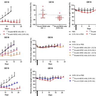 In Vivo Antitumor Effect And Toxicity A Antitumor Effect Best