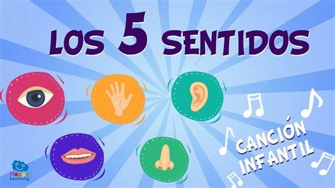 Los Sentidos Canciones Educativas Para Ni Os Youtube