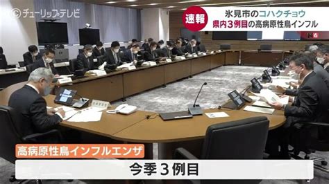 高病原性鳥インフル 富山県内で3例目を確認 県は危機管理連絡会議で対応協議 Tbs News Dig