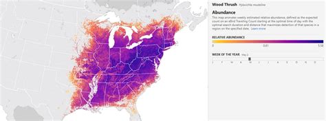 Ebird Migration Maps - Printable Cards