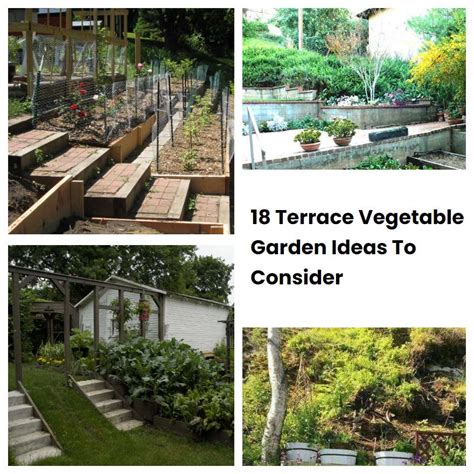 18 Terrace Vegetable Garden Ideas To Consider Sharonsable