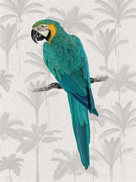 Somerset House Images Tropical Macaw Poster