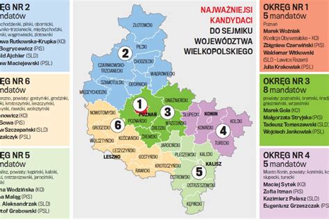 Wybory samorządowe 2018 PiS kontra PO i PSL o sejmik sprawdź okręgi