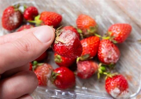 How To Tell If Strawberries Are Bad Kitchensanity