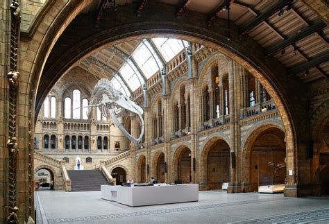 Hintze Hall Casson Mann Natural History Museum London Dandad Awards