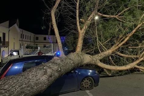 Cassano Grosso Albero Cade Su Un Auto Per Forti Raffiche Di Vento