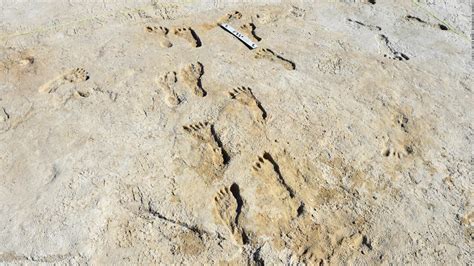 Fossilized Footprints Show Humans Made It To North America Much Earlier Than First Thought Cnn