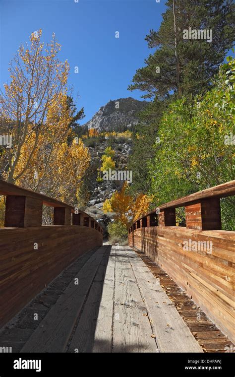 A Small Bridge Over Stream Stock Photo Alamy