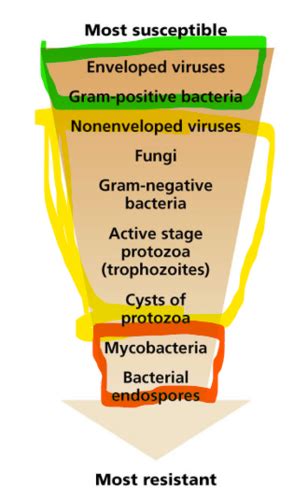 Microbial Growth Control Unit 2 Flashcards Quizlet