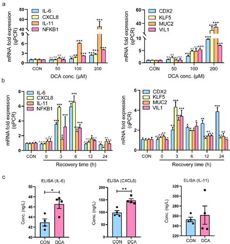 Dca Upregulated Proinflammatory Cytokines And Intestinal Markers In