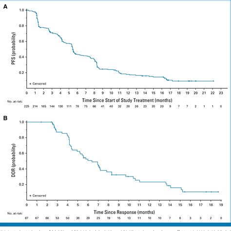 Figure From Herthena Lung A Phase Ii Trial Of Patritumab