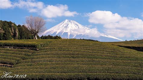 哈日族照過來！日本玩8天、踩遍10個絕景地，善用這3種資訊讓你旅費5萬元有找 Smart自學網 財經好讀 股票 熱門股點評 日本 日圓 旅遊 旅行 觀光