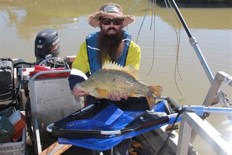 Electro Fishing Partners Unite Again For Mighty Murray Cod VFA