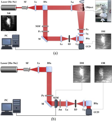 SciELO Brasil Dynamic Digital Holography For Recording And