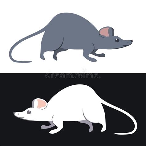 A couple of lab rats stock vector. Illustration of cartoon - 116505847