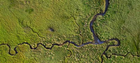 Th Meeting Of The Conference Of The Contracting Parties To The Ramsar