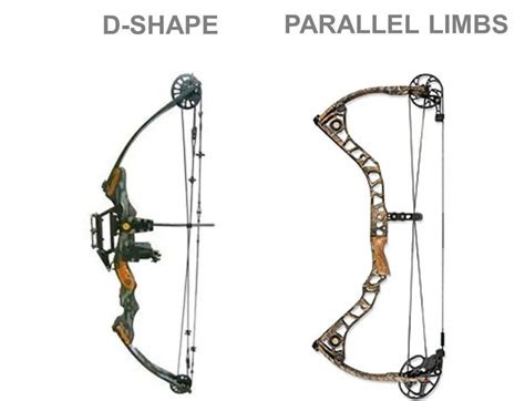 Compound Bow Diagram