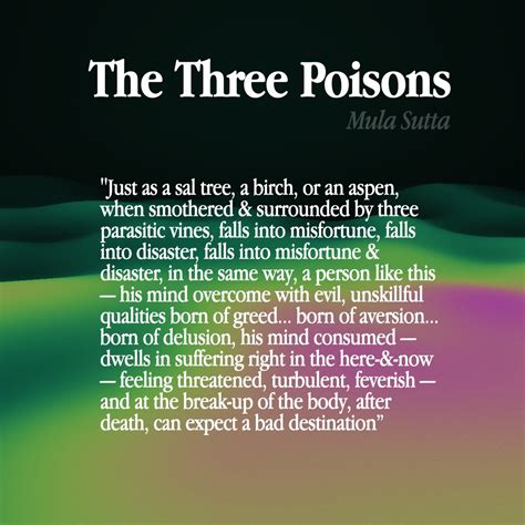 The Three Poisons Buddhism Dhamma Source