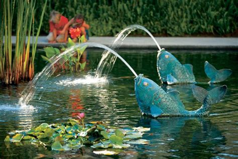 Koi Pond Ponds Backyard Pond Landscaping Pond Fountains