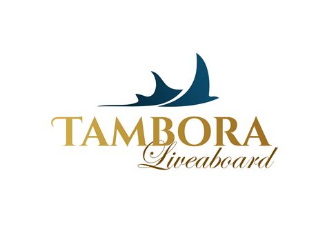 Exploring the underwater caves of Alor - Daily BayNet