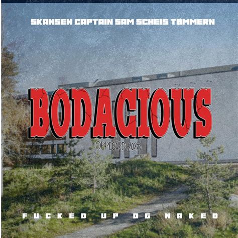 Fucked Up Og Naked Bodacious feat Scheis Tømmern Single Album by Skansen