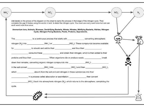 Nitrogen Cycle Lesson Mat Teaching Resources