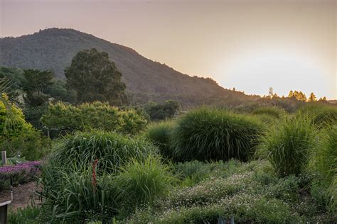 A more sustainable wine: Benziger Family Winery — the snobby foodie