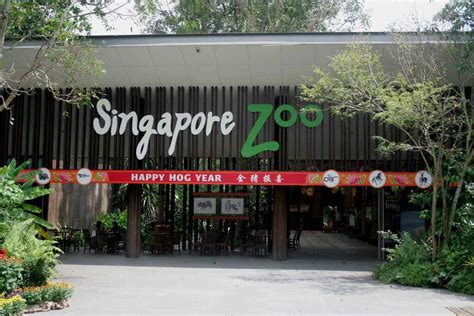 Singapore Night Safari - Experience The Adventure