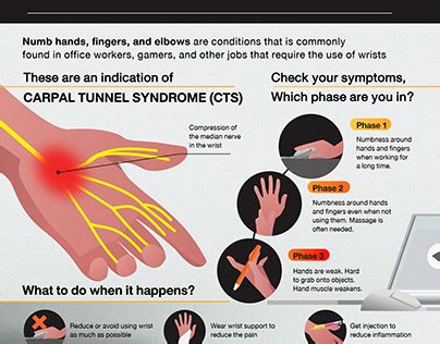 Infographic Thailand Behance