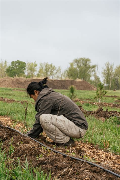 Researching Regenerative Orcharding Mad Agriculture Regenerative