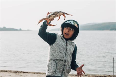 Winter Crabbing With Kids • Run Wild My Child