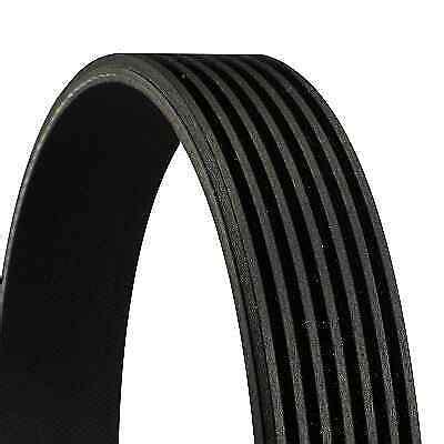 ContiTech 7PK1076 V-Ribbed Belt for sale online | eBay Australia